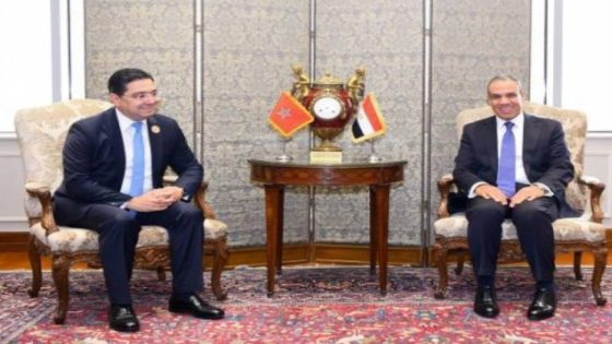 المغرب ينال نيابة رئاسة مجلس الوزراء الأفارقة المسؤولين عن المياه (AMCOW)..