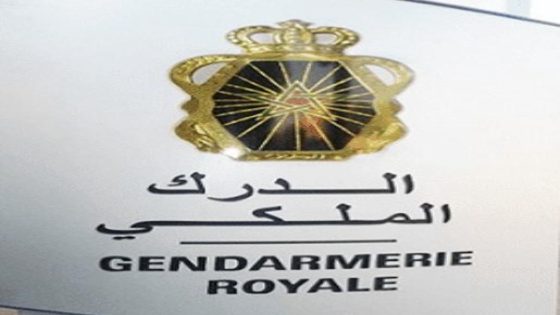بنسليمان تحت المجهر: حملة أمنية نوعية للدرك الملكي تسقط “الجبلي” و30 آخرين..