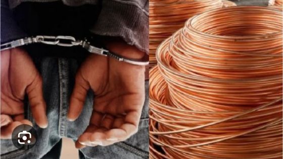 تارودانت: الإطاحة بعصابة سرقة اسلاك الهاتف تحت ارضي وحجز سيارة نفعية تستعمل لنفس الغرض..