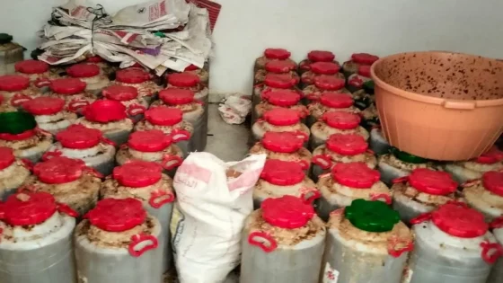 تزنيت: الدرك الملكي يفكك معملاً سرياً لصناعة “الماحيا” ويوقف مبحوثاً عنه في قضية إجرامية خطيرة
