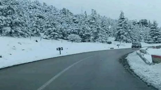 نشرة إنذارية.. تساقطات ثلجية ورياح قوية الأربعاء بعدد من مناطق المملكة