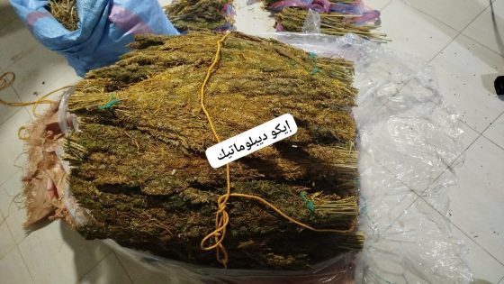 الدرك الملكي برأس العين يحجز أزيد من 44 كيلوغراماً من مخدر القنب الهندي بضواحي دوار أولاد الني بوحولة
