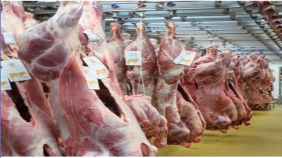 أسعار اللحوم في الارتفاع مع اقتراب شهر رمضان المبارك رغم طمأنةالحكومة باستقرارها.