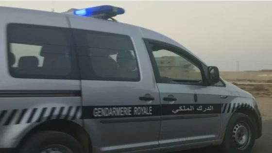 عاجل..درك مركز برحيل بإقليم تارودانت يطيح ب 5 لصوص متورطين في سرقات مختلفة ومتكررة بالمدينة وضواحيها.