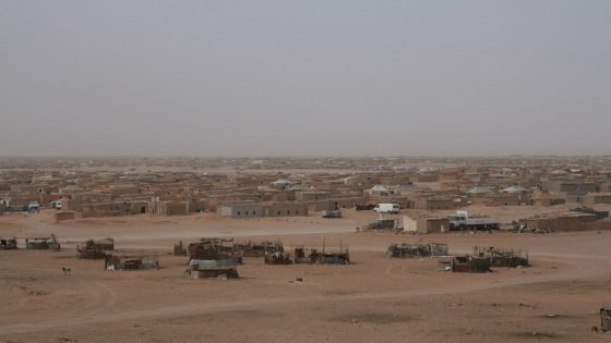 2026: خريف الأوهام وانبعاث الحل النهائي في الصحراء المغربية