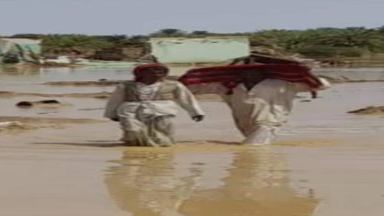 المنظمة الدولية للهجرة تطلق نداءً عاجلاً لمواجهة أزمة السودان
