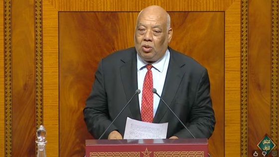 عبد اللطيف الزعيم يطالب بسياسات منصفة لإدماج المصابين بالتوحد في المغرب