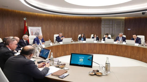فوزي لقجع يكشف كلفة دعم غاز البوتان والكهرباء والنقل لمواجهة غلاء الأسعار