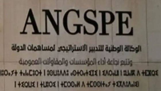 المملكة المغربية تُعيد صياغة دور “الدولة المساهمة” وفق المعايير الدولية لترسيخ ريادتها القارية