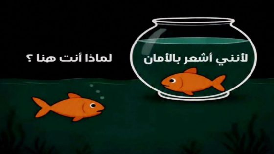 وهم الأمان… حين يتحول الملاذ إلى سجن ناعم يحجب اتساع العالم