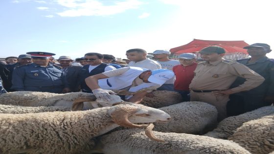 تارودانت: اللجنة الإقليمية لمراقبة الاسعار تباشر تدخلاتها باسواق بيع الأضاحي
