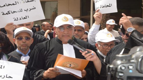 نقيب هيئة المحامين بمراكش: استقلال المحاماة ضمانة لحقوق المواطنين ومشروع القانون بصيغته الحالية يثير مخاوف المهنة
