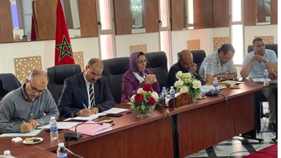 رئيسة جماعه تسلطانت زينب شالة في زياره ميدانية مع وفد من وزارة الإسكان