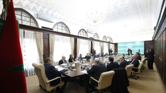 “وهبي يقدم عرضًا حول تفعيل مقترحات مراجعة مدونة الأسرة أمام مجلس الحكومة”