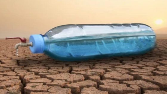 عندما يندر الذهب الأزرق، يصبح الابتكار مفتاح البقاء..