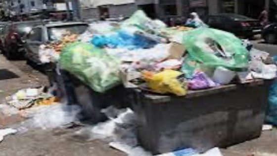 تدبير النفايات ركيزة أساسية للتنمية الحضرية