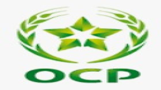 مؤسسة OCP تعزز الاقتصاد التضامني في إفريقيا: عقد من الالتزام والتنمية المحلية