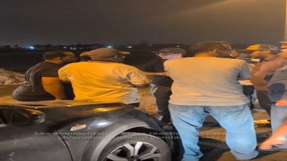 كارثة بيئية تهز دار بوعزة: موت قطيع من الأغنام إثر تسمم غامض
