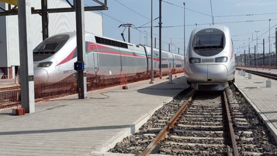 خطان جديدان نحو المستقبل…عبد الصمد قيوح يكشف تفاصيل ربط مراكش بأكادير والصويرة عبر القطار السريع