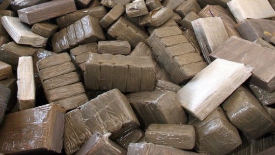 إحباط محاولة تهريب 30 كيلوغراماً من الحشيش داخل علب تمور بفاس