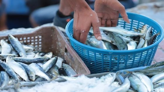 إجراءات استباقية للحفاظ على استقرار أسعار السردين في رمضان.