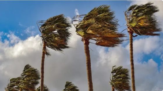 طقس الأربعاء.. أجواء باردة مع رياح قوية بعدد من مناطق المملكة