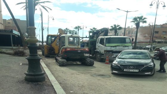بالصور: اقتلاع ثلاث نخلات بشارع علال الفاسي يثير تساؤلات بيئية بمراكش