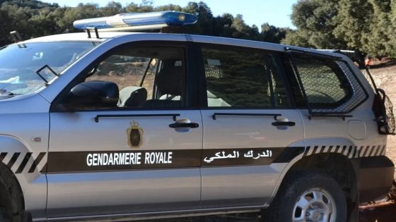 حملات مكثفة للدرك الملكي بجهة مراكش-آسفي تُسقط مروّجي المخدرات وعصابات سرقة الدراجات