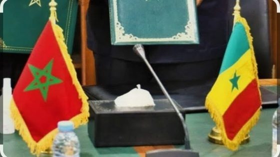الملك محمد السادس، نصره الله يصدر أوامره بالعفو المولوي على المشجعين السنغاليين المحكوم عليهم بسبب الجنح والجرائم المرتكبة خلال منافسات كأس إفريقيا للأمم لكرة القدم…بلاغ